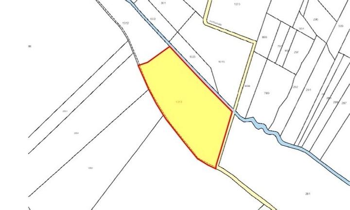 Terreno agricolo - prato