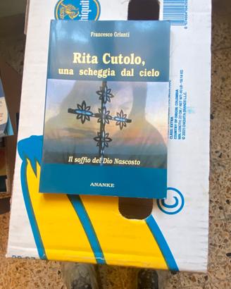 Rita Cutolo
