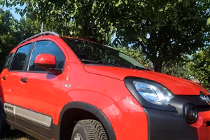 Fiat Panda 0.9 t.air t. Cross 4x4 s&s 85cv