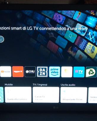 TV Monitor LG Smart 28
