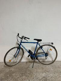 2 Bici da passeggio
