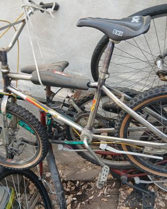 coppia bici