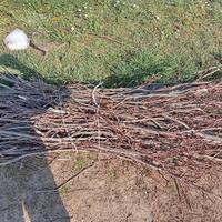 frasche  accendi stufa 