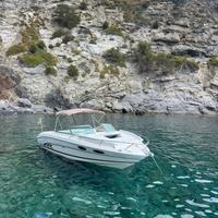 Motoscafo Sea Ray 230