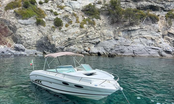 Motoscafo Sea Ray 230