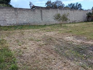 terreno edificabile 
