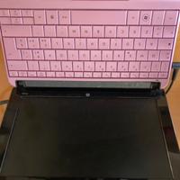 Piccolo notebook rosa hp