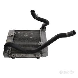Radiatore acqua Honda Pantheon 4 tempi