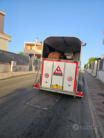 Permuto con trasporto cavalli pat.b