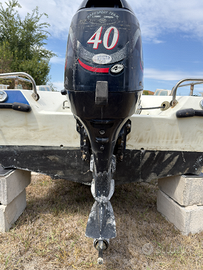 Motore Evinrude 40cv affondato