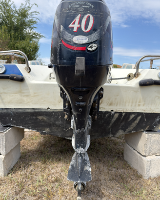 Motore Evinrude 40cv affondato