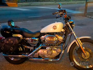 Harley 883