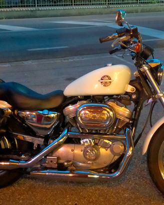 Harley 883