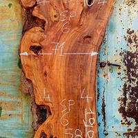 Asse di Ulivo Salentino numero 4