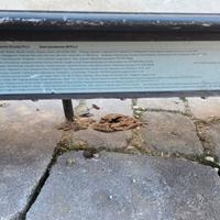 Monopattino elettrico