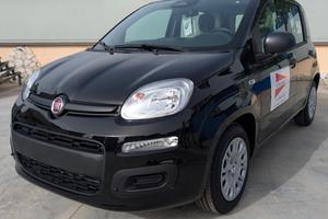 Fiat Panda Pandina 1.0 FireFly 65 CV Hybrid Icon