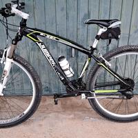 Bicicletta taglia 29