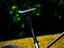 Immagine 12