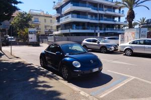 VOLKSWAGEN New Beetle - 2007