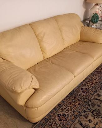 coppia divani in pelle e tavolino