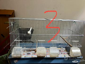 Gabbia per uccelli