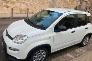 Fiat Panda 1.2 EasyPower City Life