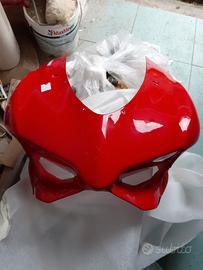 Cupolino Panigale
