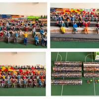 Subbuteo articoli vari