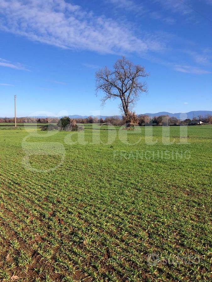 Terreno Agricolo Civita Castellana - Vista 4