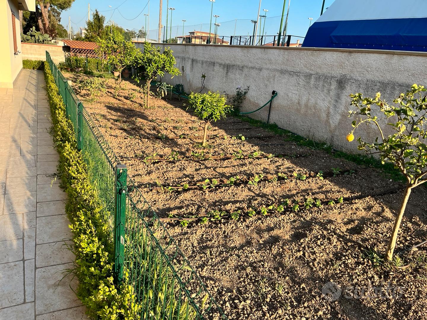 Casa – Taranto - Vista 4