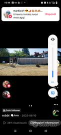 piscina 8m*4m con doppi accessori