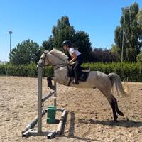 Super pony da completo e salto
