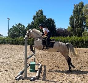Super pony da completo e salto
