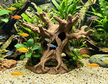 Tronco radice albero acquario terrario, spedisco