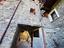 Immagine 29