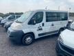 Fiat Ducato 2.3 MJT 130CV PC-TN Furgone Vetrato