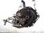 Immagine 2