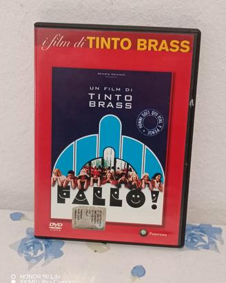 DVD FALLO! - Tinto Brass | Edizione Panorama Orig