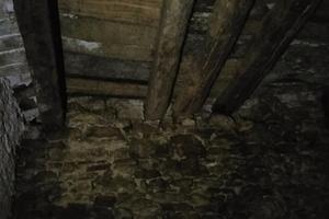 2 graziose cantine a mille l' una