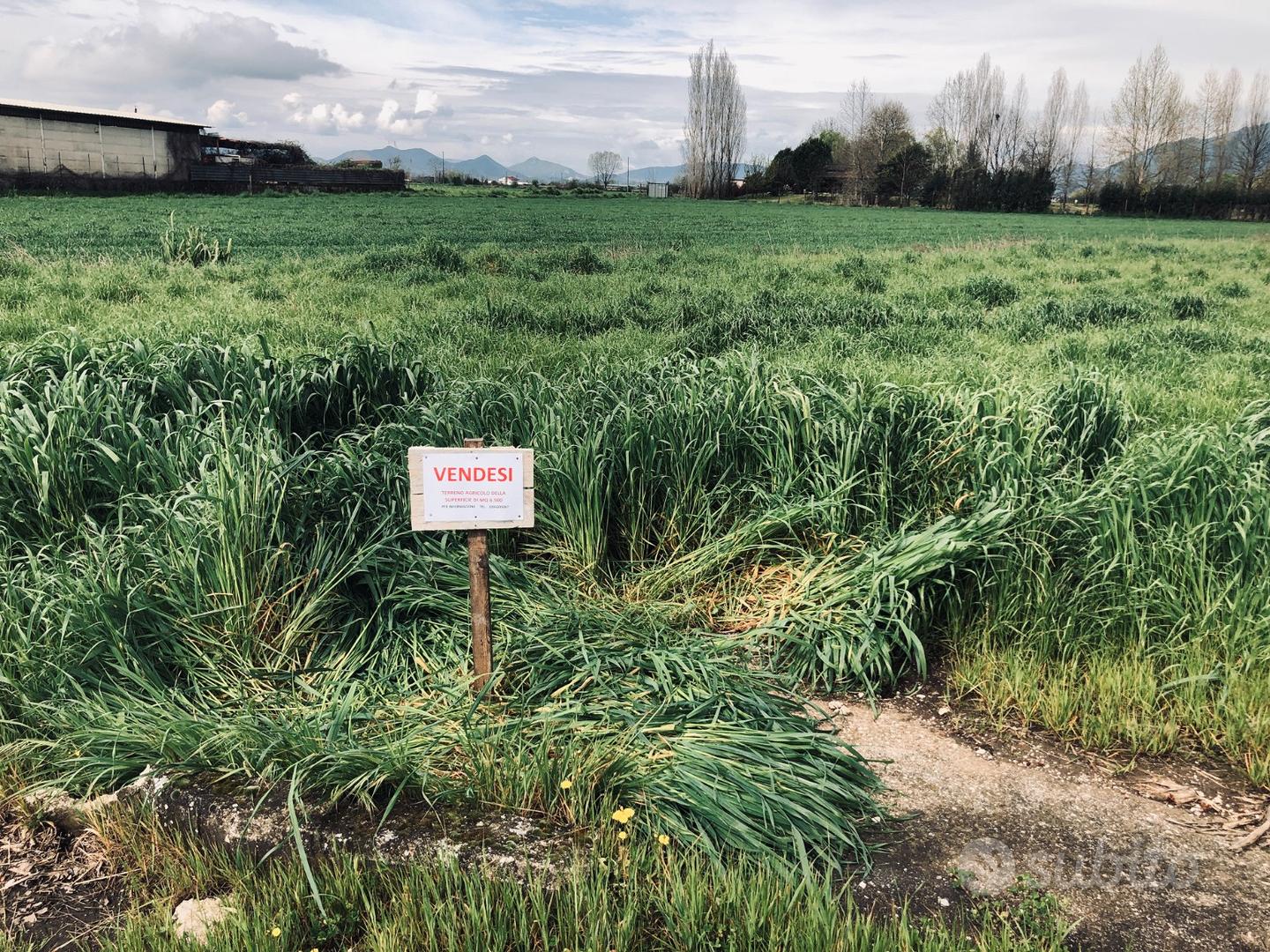 Terreno Agricolo - Vista 2