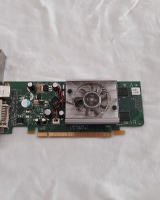Scheda video ASUS CARDINAL / GEFORCE 8400GS 256MB