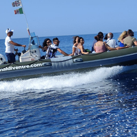 Gommone BWA 740 motore Suzuki 175