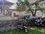 Immagine 25