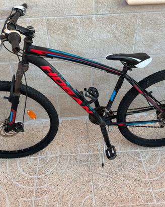 Bicicletta  mountain bike Hogan
