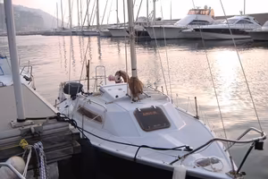 Barca a Vela mt.6. con Motore Mercury 5 HP 4T