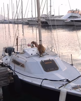 Barca a Vela mt.6. con Motore Mercury 5 HP 4T