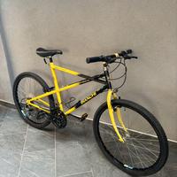 🚴♂️ Bianchi Ragno Thomisus – Revisionata