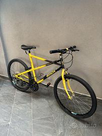 🚴♂️ Bianchi Ragno Thomisus – Revisionata