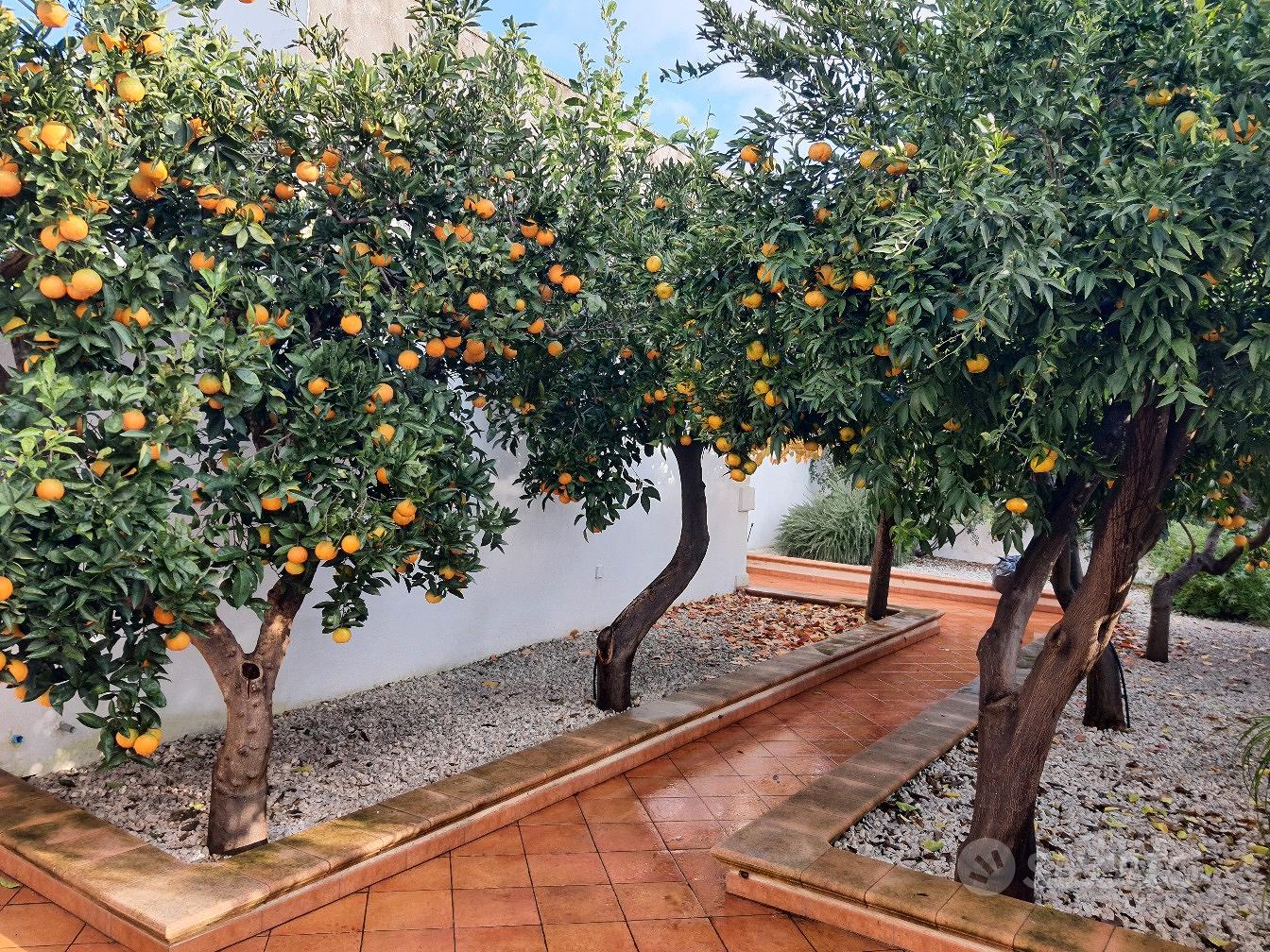 Appartamento – Palmariggi, Lecce - Vista 5