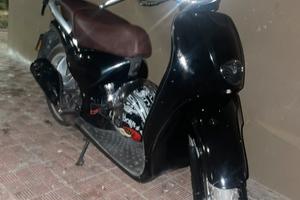 Scarabeo piaggio 2t